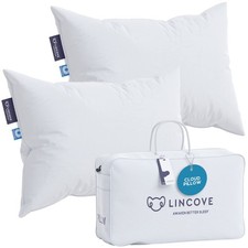 Cloud Natural Canadian Down Pillow, White Luxury Sleeping Pillow - 625 Fill P...