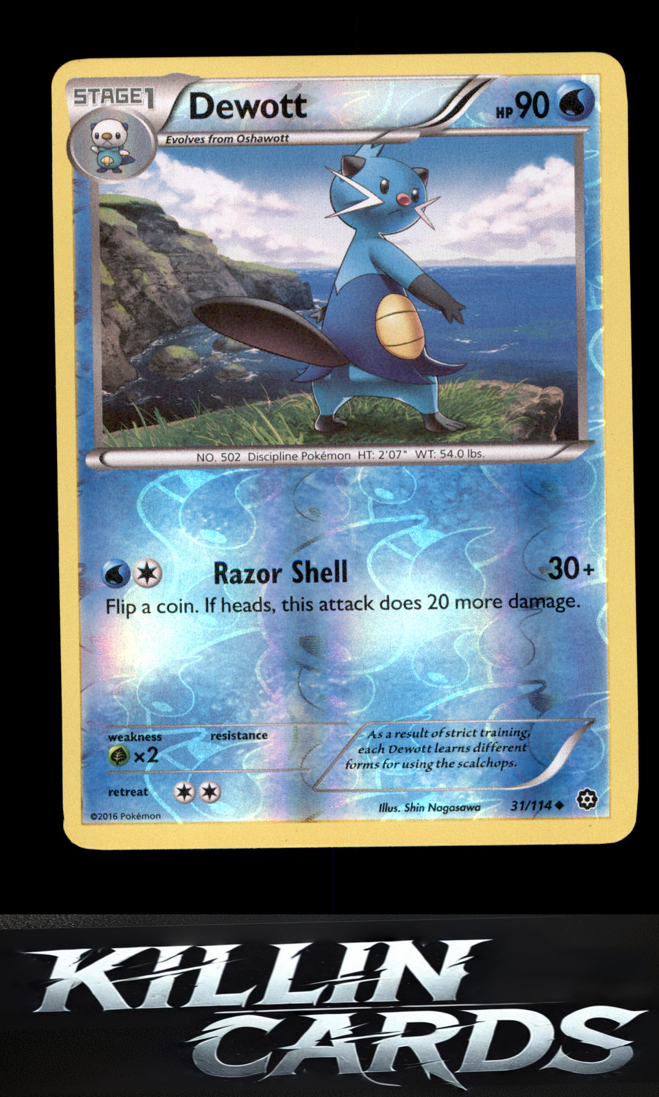 Reverse Holofoil Dewott 31/114 Pokemon Uncommon XY - Steam Siege Card NM