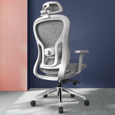 Ergonomic Big & Tall Office Chair with 3D Lumbar Support & Adjustable Armrests