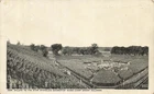 Camp Grant IL~Salute to the Star Banner-40,000 Soldiers~WW1 Military POSTCARD