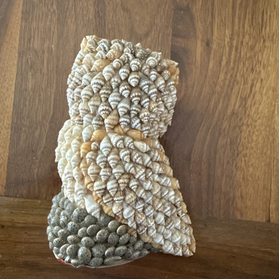 Vintage Sea Shell Owl Figurine Folk Art Bird Statue Beach Decor Miniature - Image 3 of 3