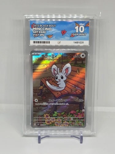 Minccino [157/086] Black Bolt [JPN] Art Rare Ace Grade 10