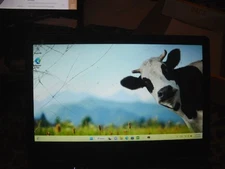 Intel Gateway  GWTC116-2BL  Motherboard  4Gb  Memory,64Gb HDD ,Windows 365 OS