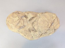 FLAMES OF WAR - LARGE DESERT HILL - BB505 - BATTLEFIELD IN A BOX Terrain