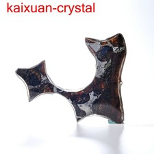 Sericho pallasite météorite gravée tranche complète poids 20Ct 43mm USA DT1021