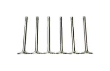 For 1942-1959 Dodge 218 & 230 6 Cyl Engine Exhaust Valve Set 954302 1947321.