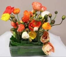 Glass Rectangular Vase 30L x 8.5W x 11.5Hcm - Clear (02-RECT-30X12H)