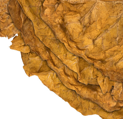 Virginia Orange Tabakblätter Rohtabak 4kg