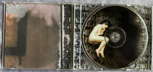 Supposed Former Infatuation Junkie- Alanis Morissette (CD 1998) Brand New Sealed - Picture 2 of 4