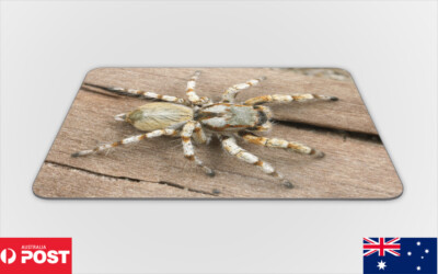 Spider Mat Insect MOUSE PAD DESK MAT ANTI-SLIP|CREEPY INSECT SPIDER ARTHROPODS 5 | eBay ...