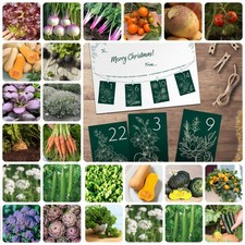 DIY Vegetable Seed Advent Calendar Gift 24 Hand-Selected Veg Varieties Suttons