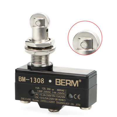 10A micro push button limit switch micro switch limit switch with lever 250/380V