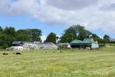 Photo 6x4 Cattle in pasture by farm Ford South of Ford village. c2015