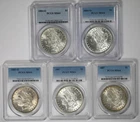 Lot 5 Coins Morgan Dollar Silver $1 MS 64 PCGS