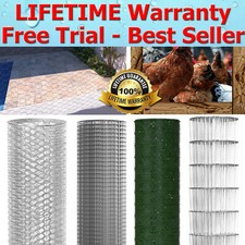 Wire Mesh Chicken Wire wire Mesh Roll Fine Wire Mesh Welded Wire Mesh Galvanised