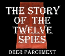 TORAH BIBLE VELLUM MANUSCRIPT FRAGMENT/LEAF 250 YRS  OLD YEMEN The Twelve Spies