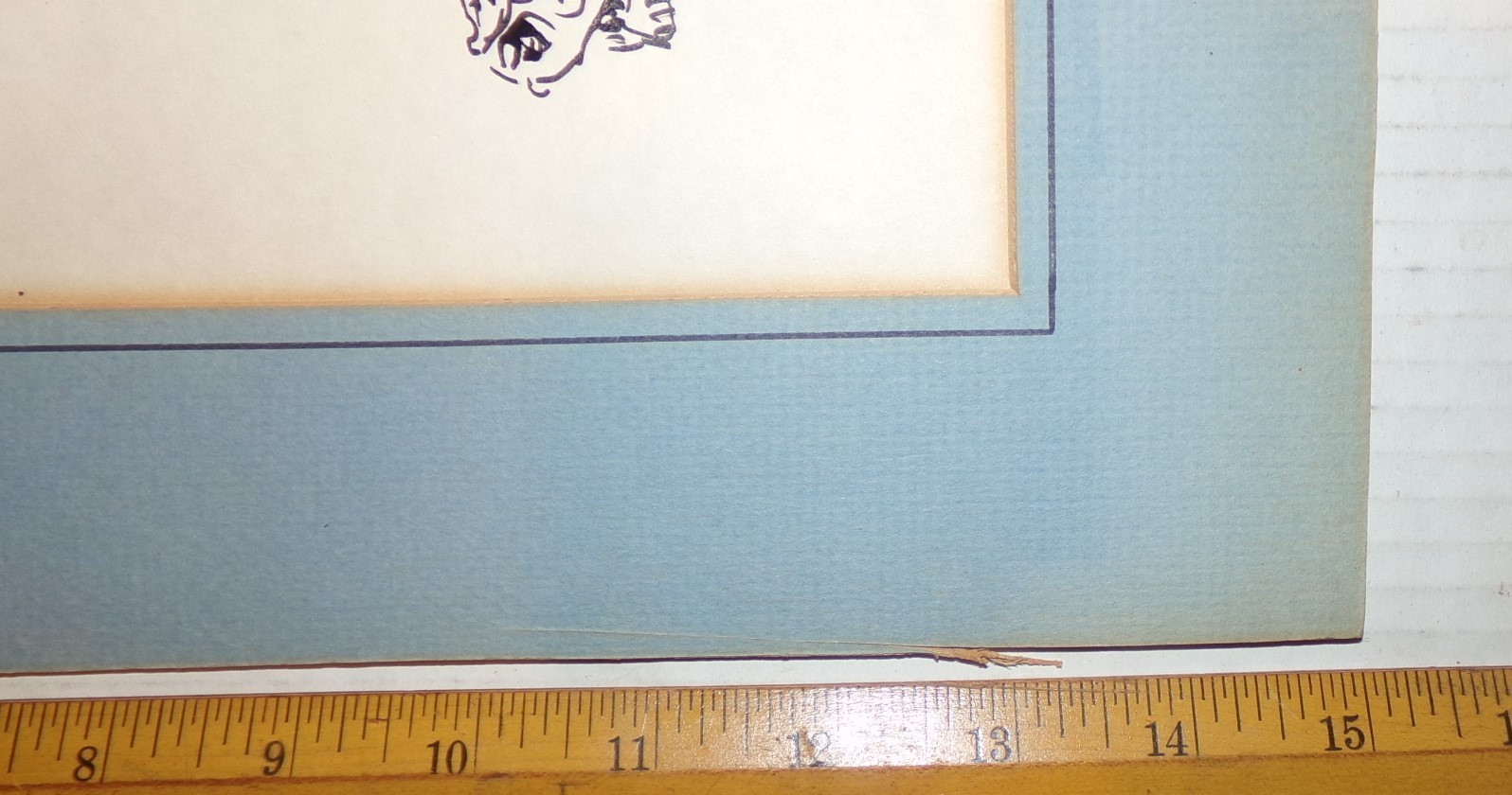 Picture 10 of 10