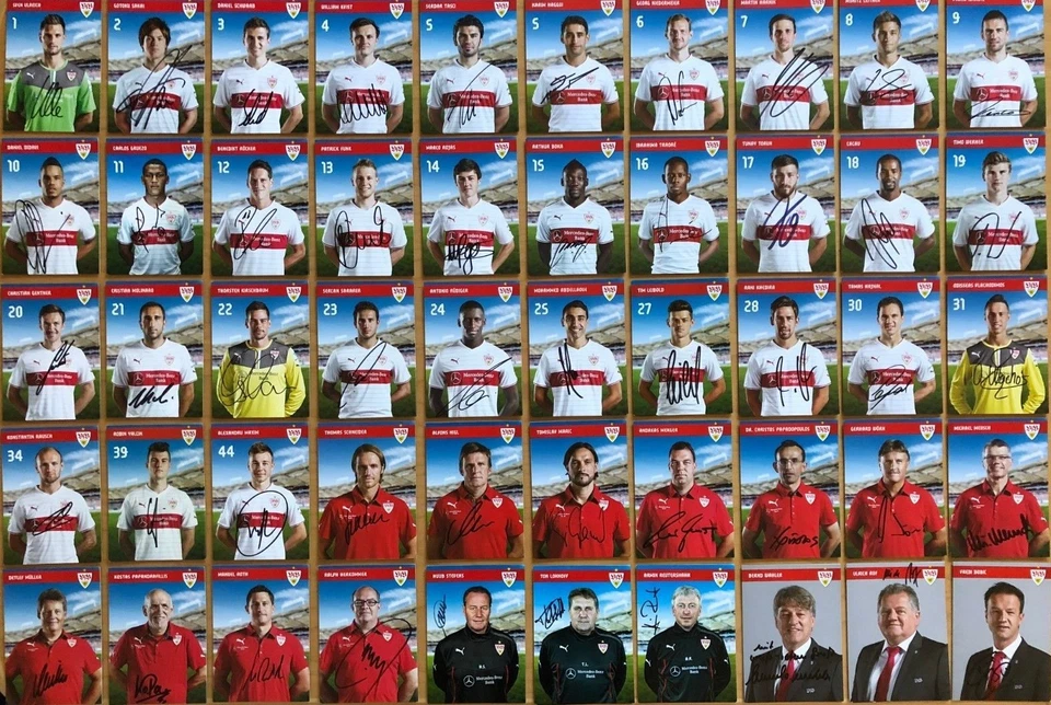 VfB Stuttgart Autogrammkarte 2013-14 original signiert 1 AK aussuchen