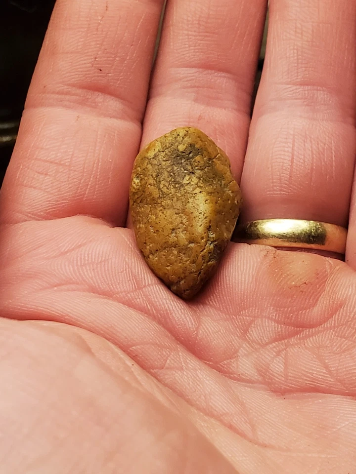 Pepita de oro crudo natural Placer de 7,56 gramos de Montana Bench Depisit Foto 2 de 2