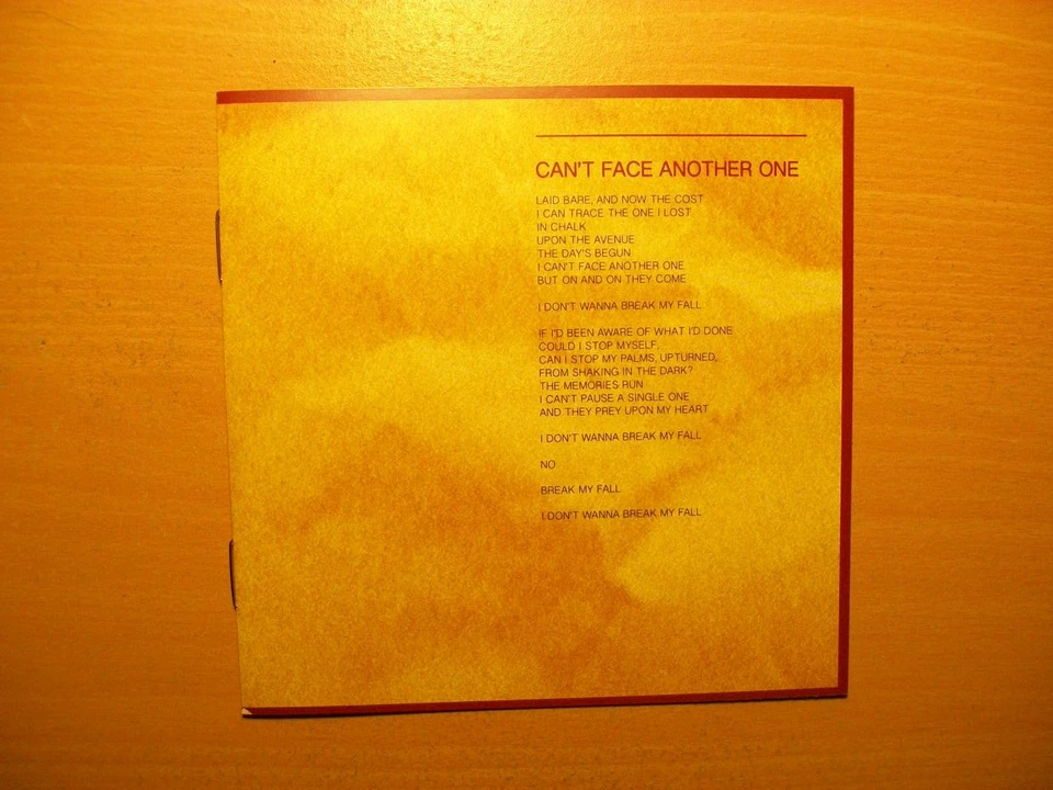 NATION OF LANGUAGE: Dance Called Memory (Sup Pop,Synth-Pop, Post Punk, Wave 2025 - Bild 4 von 4