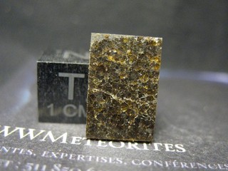Meteorite NWA 16170 BRACHINITE Granular Texture Abundant Triple Junctions