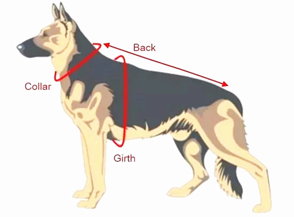 Dog Harness Outdoor Training Service Dog Molle Vest Harness 5 Sizes 4 Colors