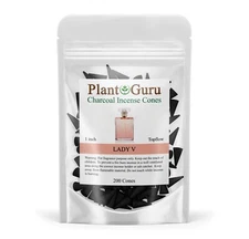 200 Charcoal Incense Cones 1" TOPFLOW Bulk Wholesale For Burner Holder Variety