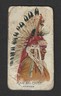 1888 N2 Allen & Ginter Tobacco Card - American Indian Chiefs