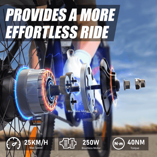 Varun 24" Electric Bike 250W Motor 36V 7.8Ah Off-road E-BIKE 25KMH MTB Adult - Picture 2 of 7