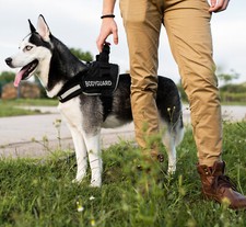 Hundegeschirr Mit Leine – Verstellbar, Reflektierend & Ausbruchsicher Für Kleine Bis Mittelgroße Hunde (Größe S, Grün)