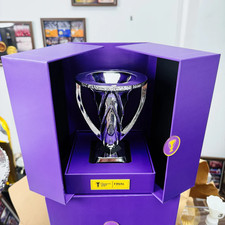 2025 Al-Ahli Saudi F.C Club AFC Champions League Elite 16cm Resin Trophy WithBox