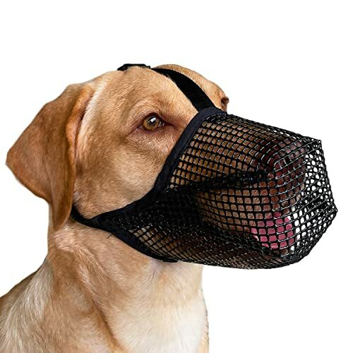 best dog muzzle for small dogs