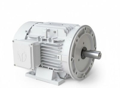 Techtop Washdown Electric Motor 5 HP 3600 Rpm 3-PH 230/460 Volt 184TC Frame