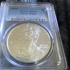 U.S. Mint 2015 Silver Eagle $1 1 oz .999 Silver PCGS MS69 59306467