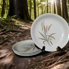 4 Homer Laughlin DEBUTANTE Bread Plate F50N6 6.25"D Wheat Design 