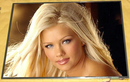 Pantallas y paneles LCD LG Portátil Para IBM