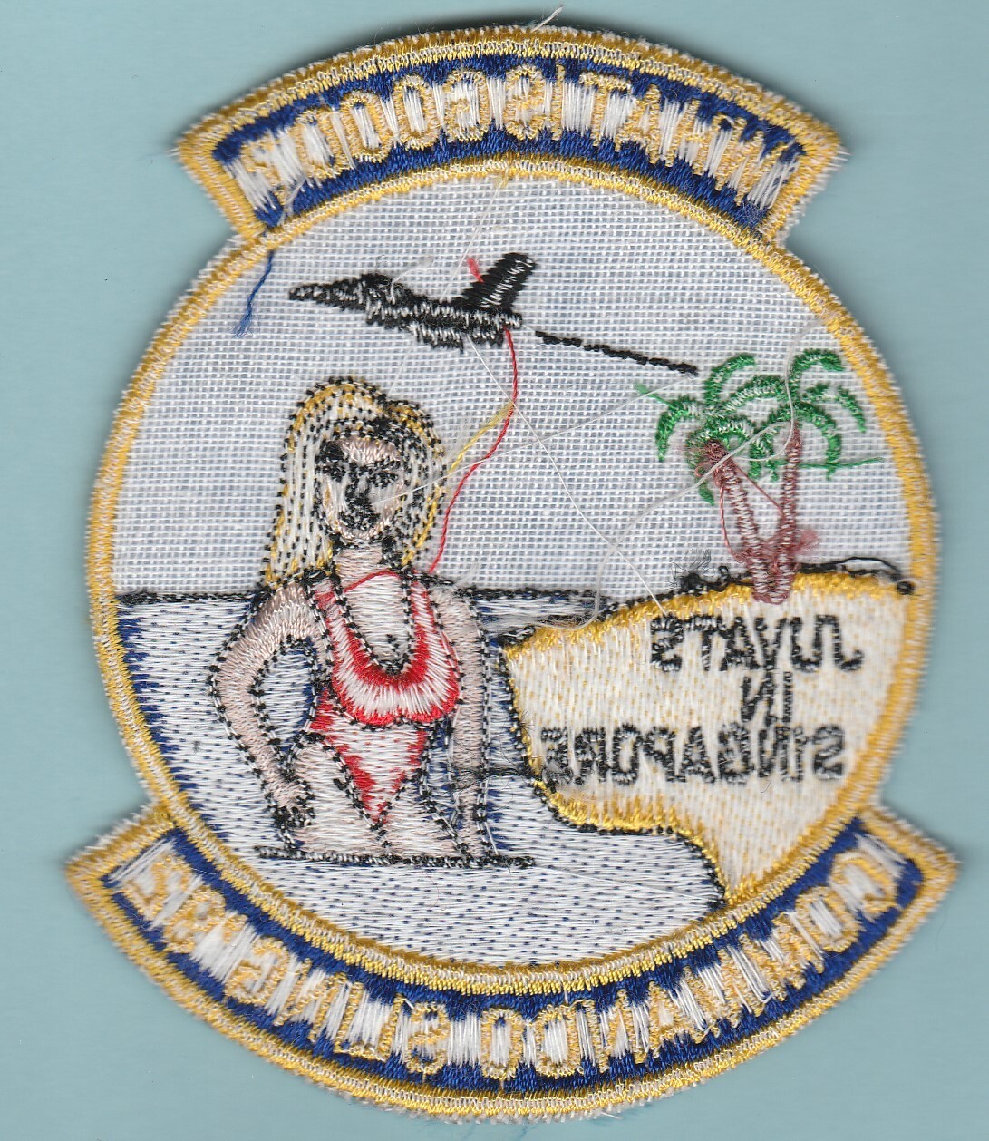 Vintage USAF US Air Force 80th Fighter Squadron Commando Sling '92 ...