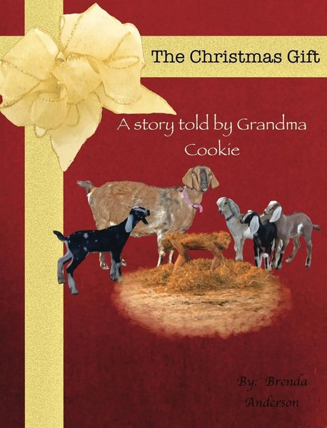 Brenda Anderson | The Christmas Gift | Buch | Englisch (2015) | Gebunden-image