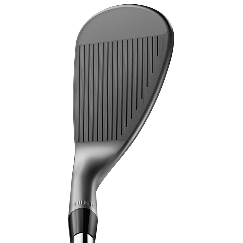 NEW Titleist Wedge Vokey SM10 Nickel DG S200 5614F | eBay