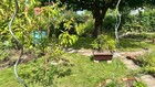 Bild 14 von 24