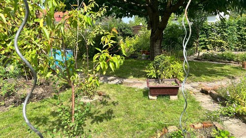 Garten In Freital Abzugeben - Bild 14 von 24