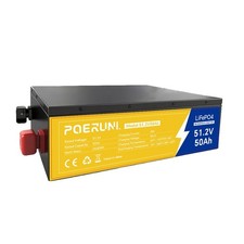 48V 50Ah LiFePO4 Deep Cycle Battery Solar Backup RV Boat Golf Cart 2560Wh NEW