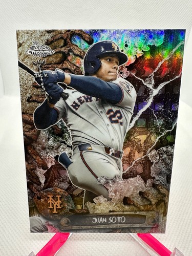 2026 Juan Soto #22