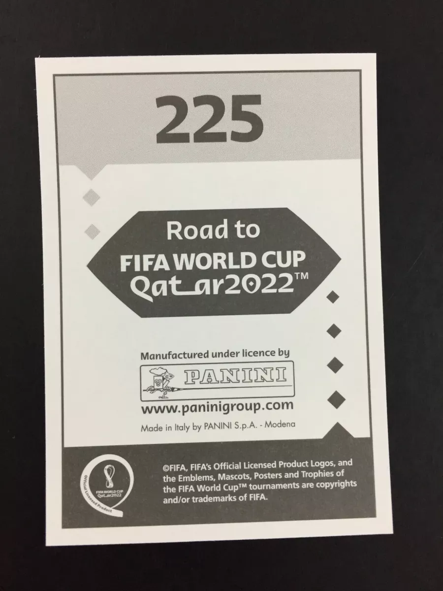 Panini 2022 FIFA World Cup Qatar Kylian Mbappe France Sticker FRA19 • $4.79