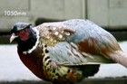 Bild 7 von 11