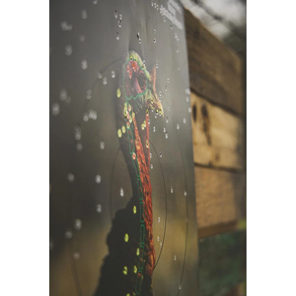 Objetivos de papel de pavo prejuego Birchwood Casey 12"x18" paquete de 8 multicolor 35403 Foto 2 de 3