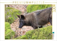 Calvendo Puzzle The Timberwolf | 1000 Pieces, Finished Size 25.2 × 18.9 In (64 ×