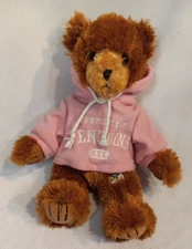 Pittsburgh Penguins Property Plush Teddy Bear Good Stuff Pink Hoodie 12” Approx