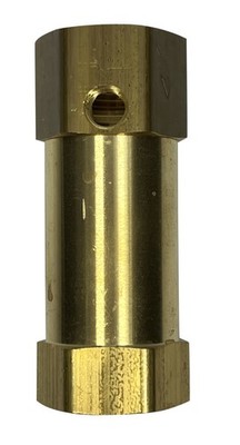 Vertical In Line Check Valve All Brass Construction, 3/4'' Female NPT Thread
