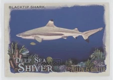 2021 Topps Allen & Ginter's Deep Sea Shiver Blacktip Shark #DSS-8